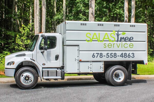 Stump Grinding service in Atlanta
