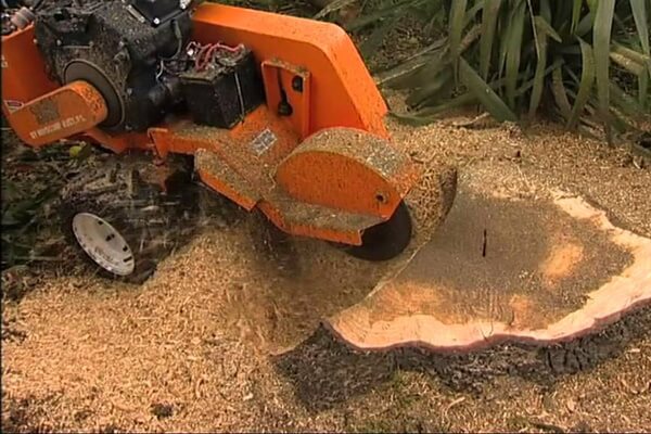 Stump Grinding service in Atlanta